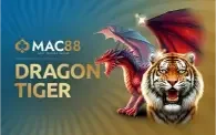 Dragon Tiger